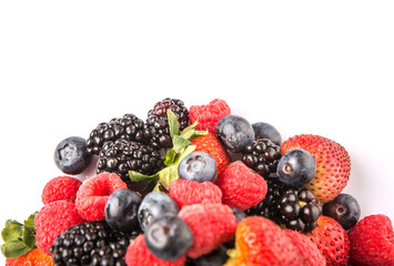 Strawberry, blackberry, blueberry and raspberry 