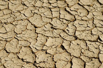 Dryness