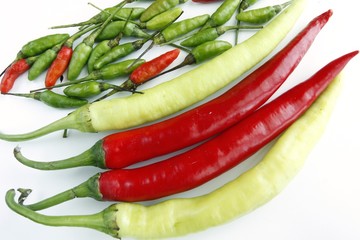 spicy chilli isolated on white background