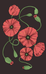 stylized poppy flowers with buds
