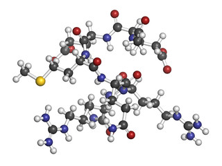 Acetyl hexapeptide-3 (argireline) molecule. 