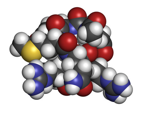 Acetyl hexapeptide-3 (argireline) molecule. 