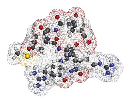 Acetyl hexapeptide-3 (argireline) molecule. 