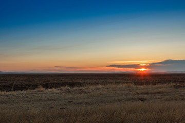 Fototapeta premium Sunrise in the steppes. Blue sky, yellow grass.