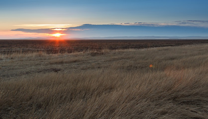 Sunrise in the steppes. Blue sky, yellow grass.