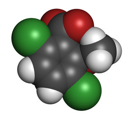 Hydroxycitric acid  (HCA, hydroxycitrate) molecule. 