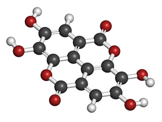 Hydroxycitric acid  (HCA, hydroxycitrate) molecule. 