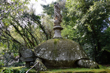 Turtle bearer of goddess