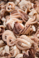  Boiled octopus in the bowl  background.