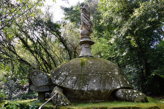 Turtle bearer of goddess