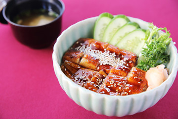 Unagi don