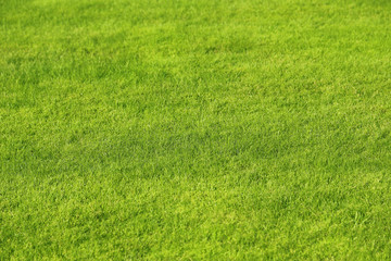 Green lawn background