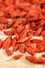 goji berry