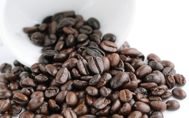 coffee bean