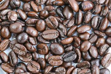 coffee bean