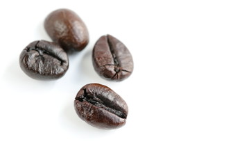 coffee bean