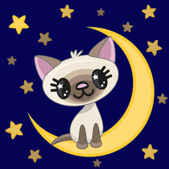 Cute Cat on the moon