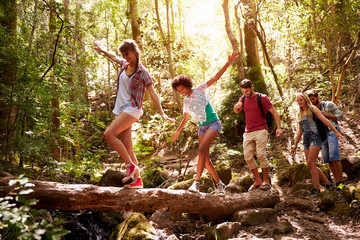 Naklejka premium Grupa przyjaciół na spacer równoważenia na pniu drzewa w lesie