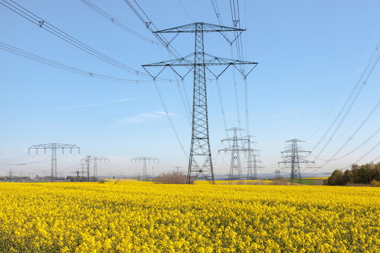 Stromtrasse im Rapsfeld