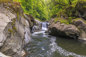 River in Hirkan national park in Lankaran Azerbaijan