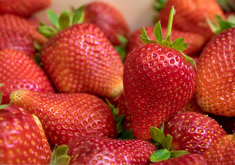 Close up of fresh strawberry