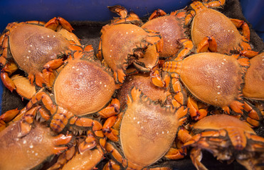 Crabs on the market
