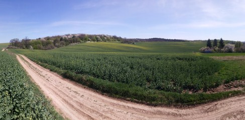 Fototapeta na wymiar Rural landscape panorama