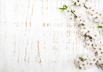 Naklejka na ściany i meble spring blossom on wood background