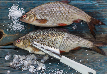 Freshly caught fish on a wooden table and a knife for cleaning o