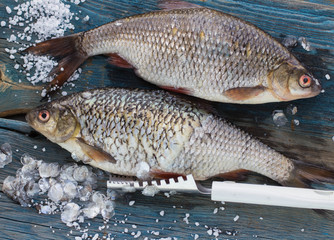 Freshly caught fish on a wooden table and a knife for cleaning o