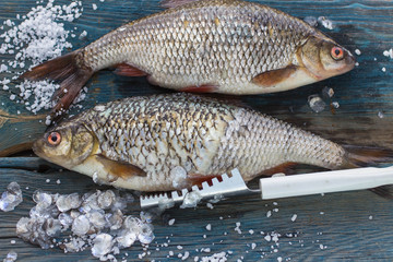 Freshly caught fish on a wooden table and a knife for cleaning o