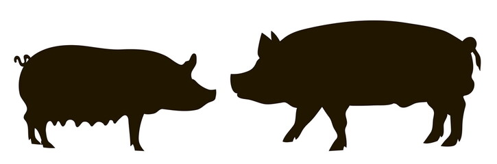 silhouette of pigs