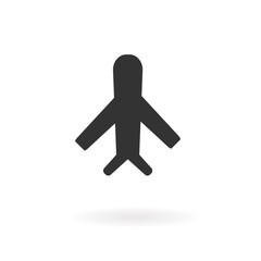 plane icon