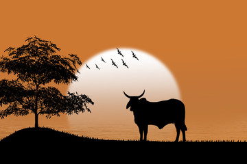 Silhouette cow standing on grass Background sunset