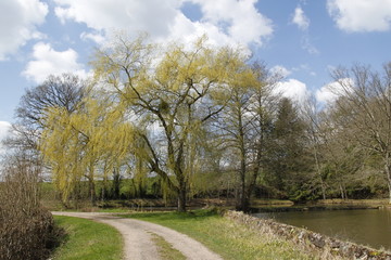 Fototapeta na wymiar Route au bord d'un étang en Bourgogne