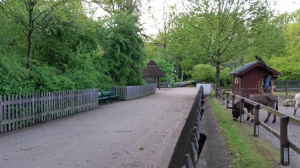 Fototapeta premium Sturmschäden Bremen Bürgerpark