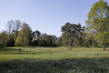 Fototapeta premium Pelouse du Jardin de Bagatelle à Paris