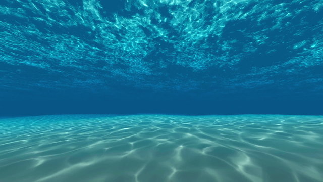 Underwater, ocean surface and bottom