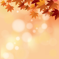 Naklejka na ściany i meble Autumn Pastel Color Bokeh Background