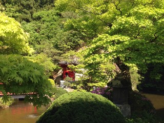 Fototapeta na wymiar Японский садик