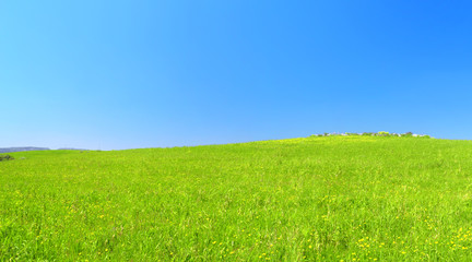 Obraz na płótnie Canvas Bella collina verde con cielo azzurro.