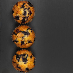 Blueberry Muffins. Selective focus.