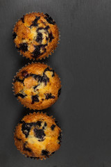 Obraz na płótnie Canvas Blueberry Muffins. Selective focus.
