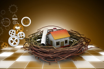 Business chart an house on nest