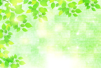 葉　初夏　背景 © J BOY
