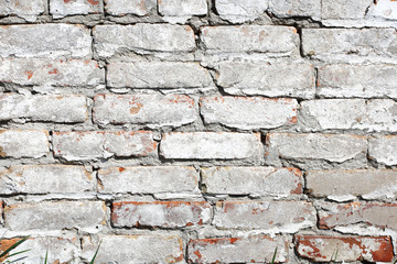 Old brick wall painted with white paint