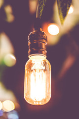 Vintage filter : Vintage lightbulb hanging on tree