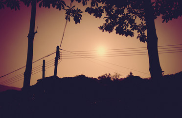Vintage filter : silhouette of sunset scene with tree at side ro