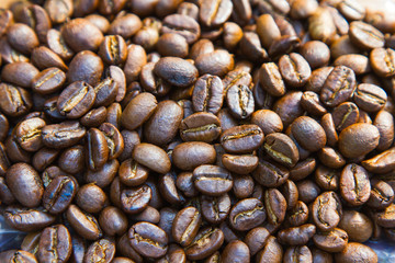 coffee beans 