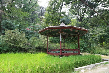 Fototapeta na wymiar Changdeokgung